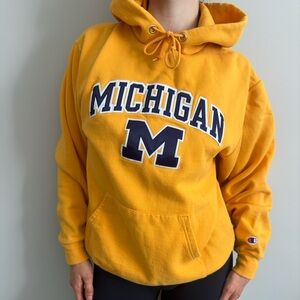 Unisex Michigan Hoodie